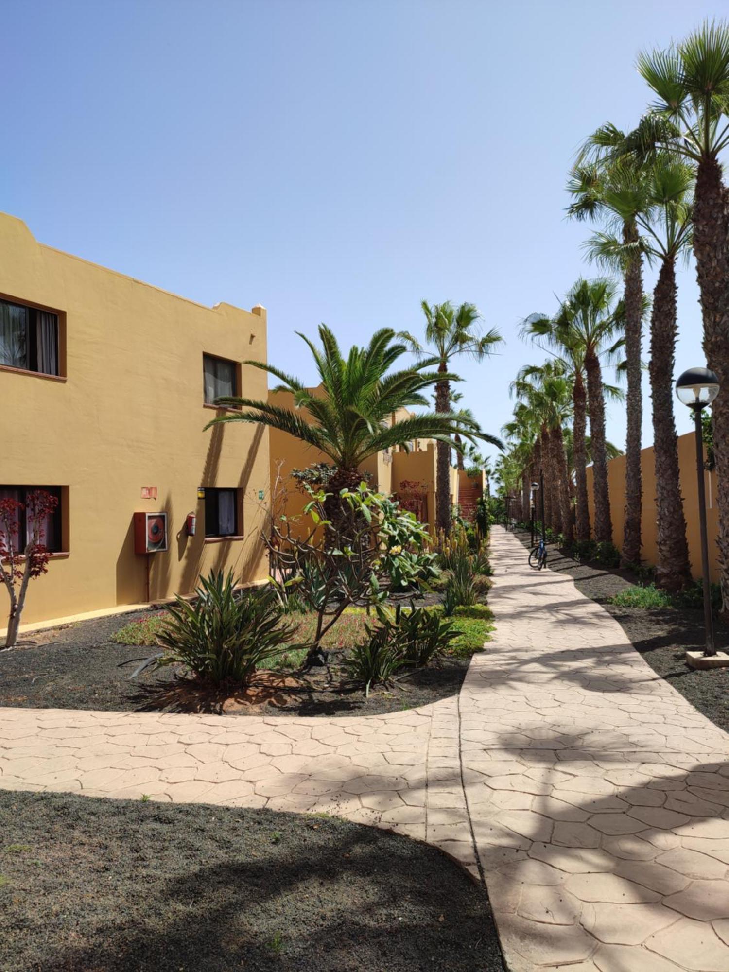 דירות קורלחו Casa Papagayo מראה חיצוני תמונה